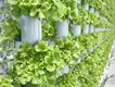 Environmental Controller for Grow Tent by Skyplant 7