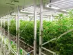 Environmental Controller for Grow Tent by Skyplant 5