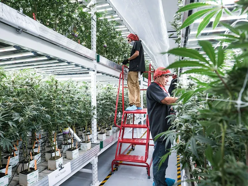 Environmental Controller for Grow Tent by Skyplant 4
