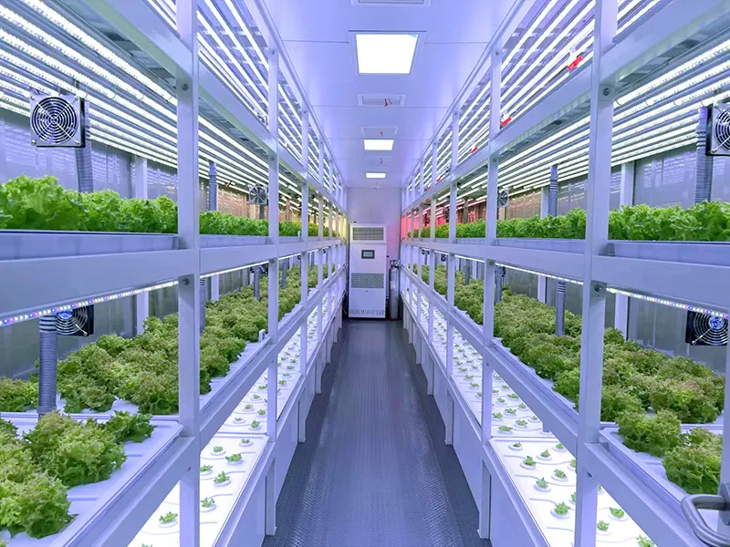 Grow Room Environment Controller by Skyplant 2