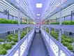 Grow Room Environment Controller by Skyplant 2