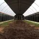 Commercial Light Deprivation Greenhouse by Skyplant 4