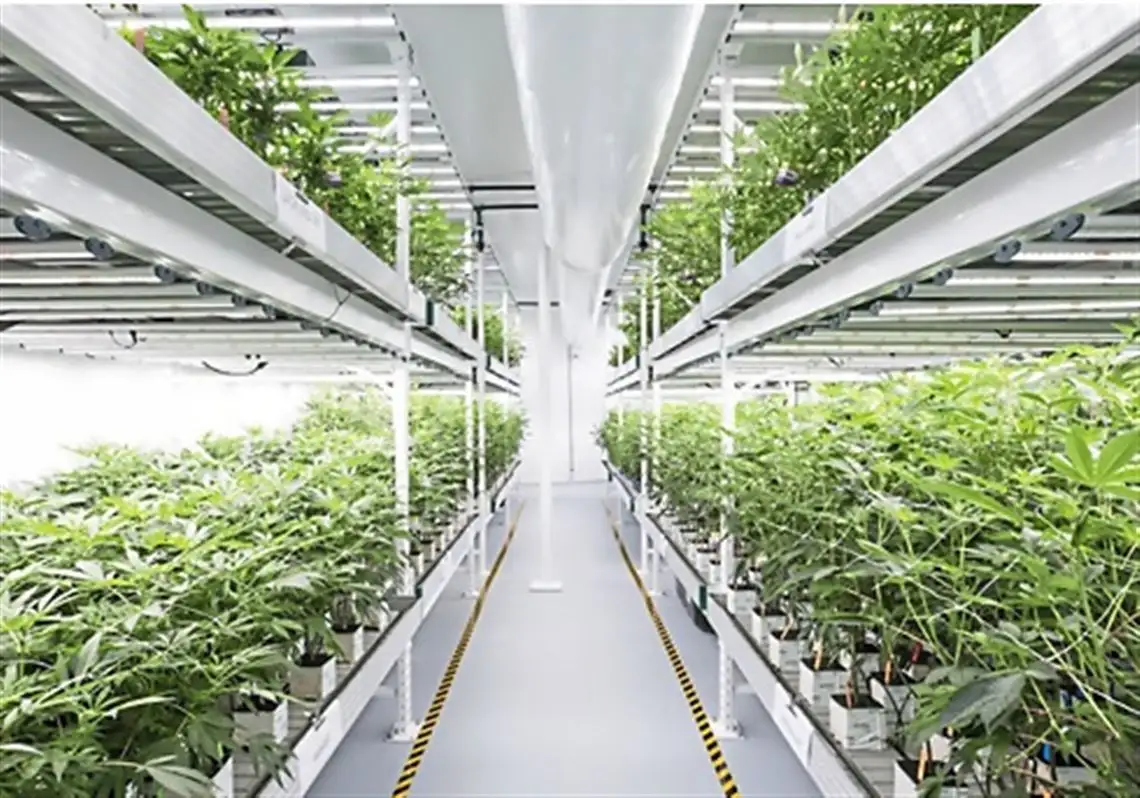 Vertical Grow Racks Cost by Skyplant 7