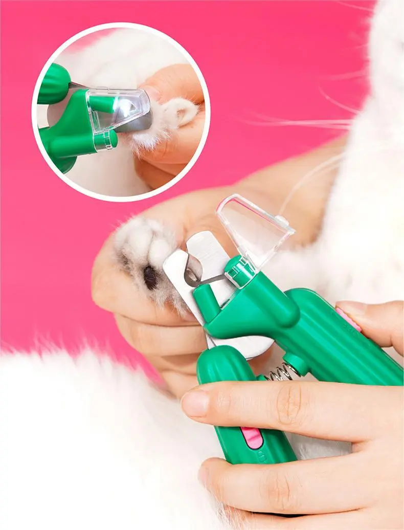 Wholesale Professional Dog Grooming Supplies Blessing Brand 4
