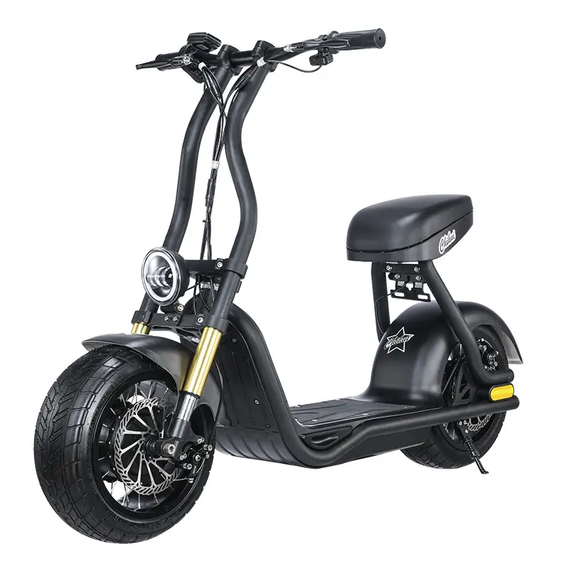 Scooter eléctrico 48V1000W para adultos H10 1