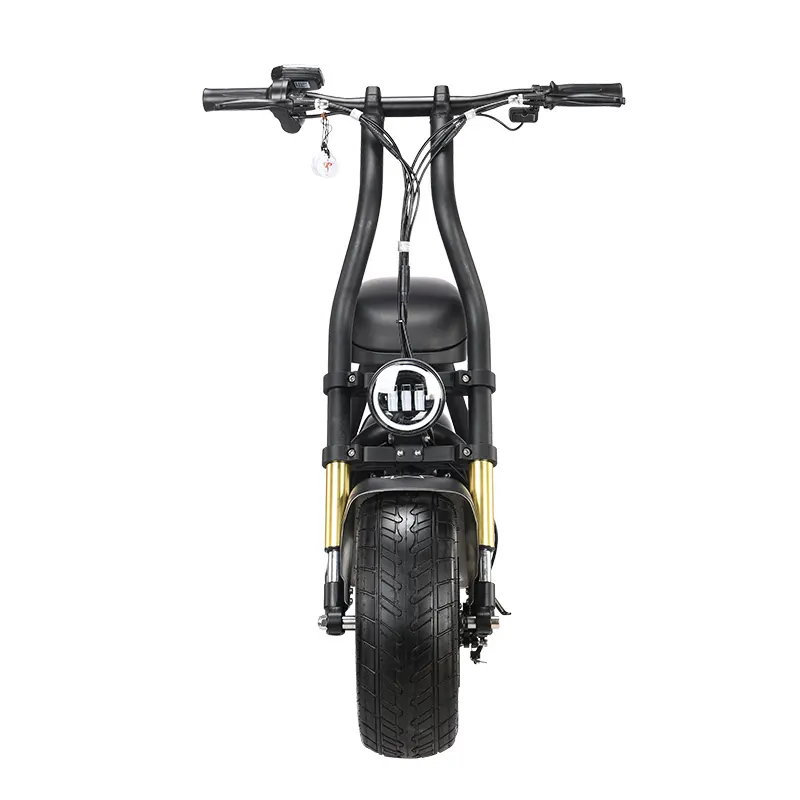Electric Scooter Manufacturing Company for Sport Upply 5