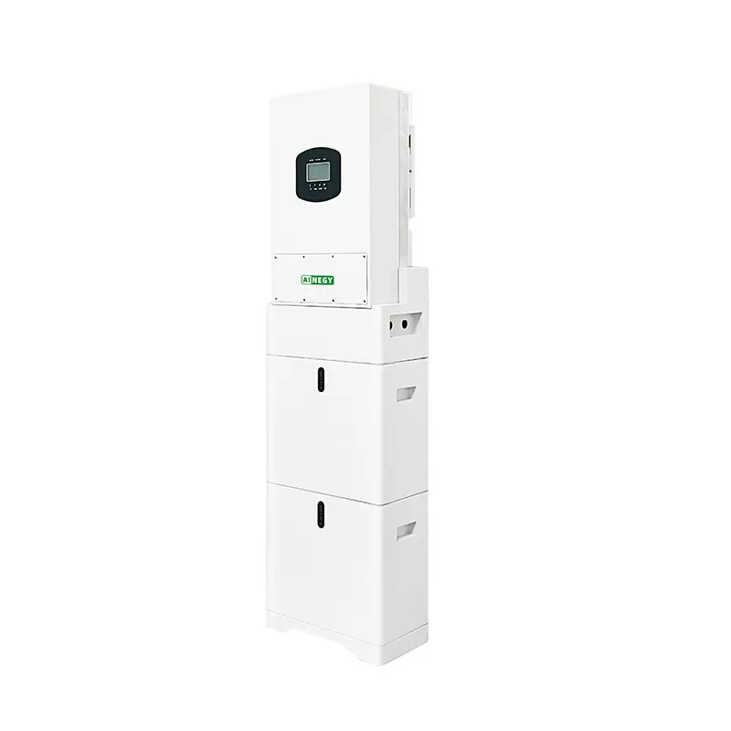 Lithium Ion Battery Supplier Factory Price for Home Use 2