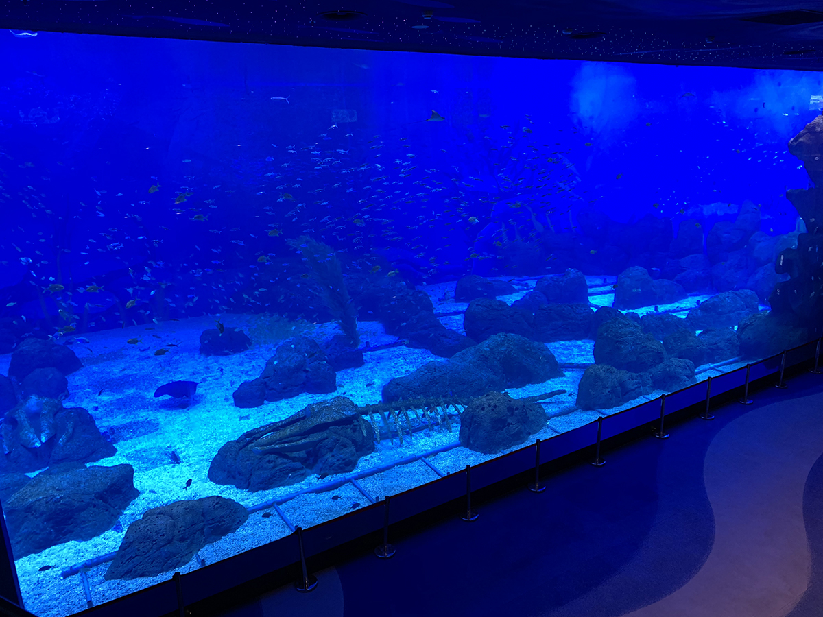 Changsha Dawangshan Happy Ocean World