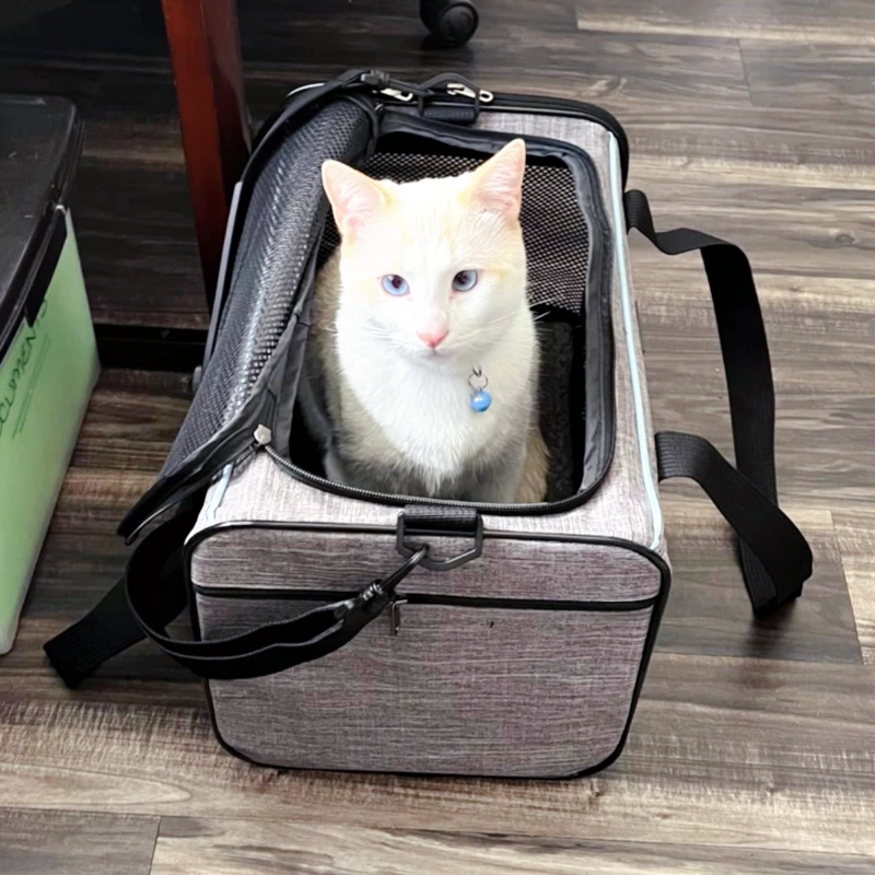 JIANHE Pet Carrier for Small Pets - Up to 16 lbs 1