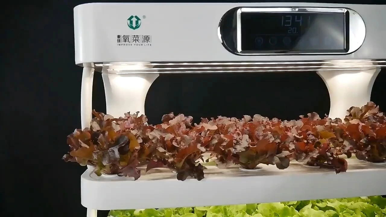 Intelligent vegetable planter 1