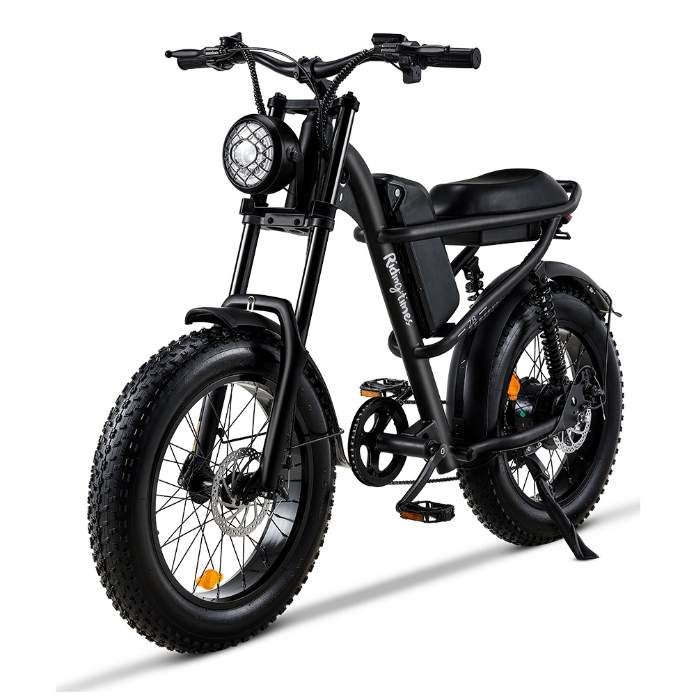 Adult Electric Bicycle Z8 500W 20*4.0'' Fat Tire 1