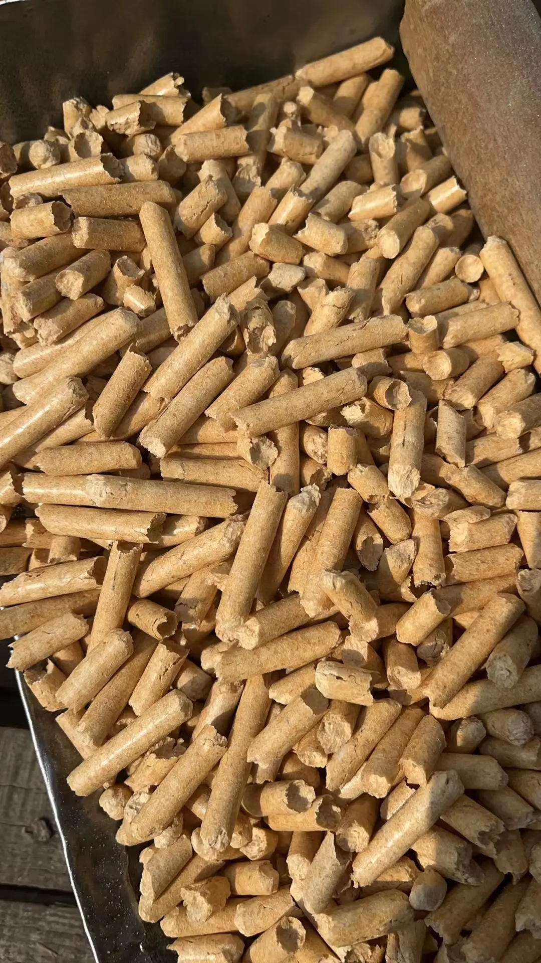 Cat Litter Factory - - FATKITTY 3