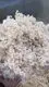 Cat Litter Factory - - FATKITTY 6