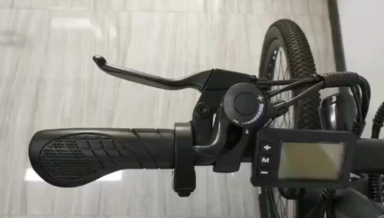 Bici elettrica Zhongxing K3 1
