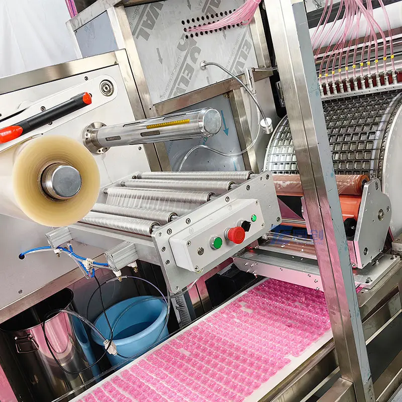 Top Water Soluble Pouch Packaging Machine Suppliers for Laundry Pods Packing 4