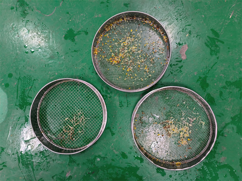 Customers visited the garbage disposal factory, and we demonstrated the grinding effect on site. 5