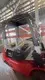 Meenyon Best Electric Forklift Manufacturers 1