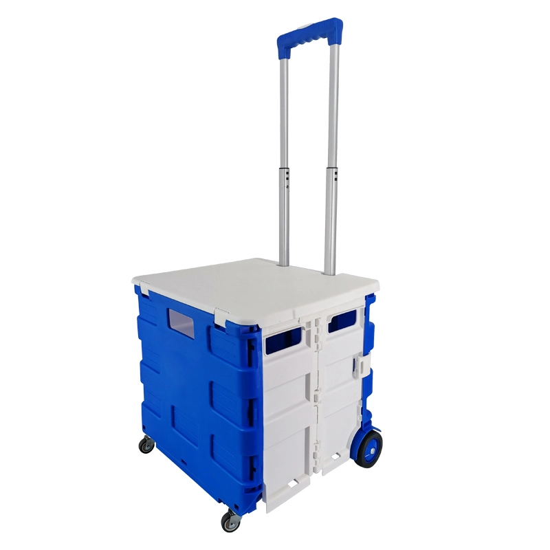 A fábrica produz carrinhos dobráveis ​​de plástico, carrinhos de compras de ferro com quatro rodas, carrinhos de correio, carrinhos de rodas universais 1