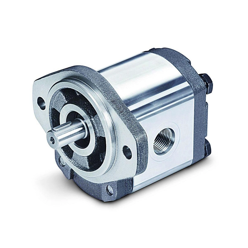Pompe hydraulique à double effet 50/60 Hz, approvisionnement d'usine 1