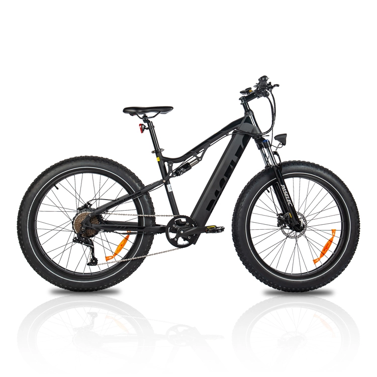 Paselec GS9 Plus Electric Bike 26 1