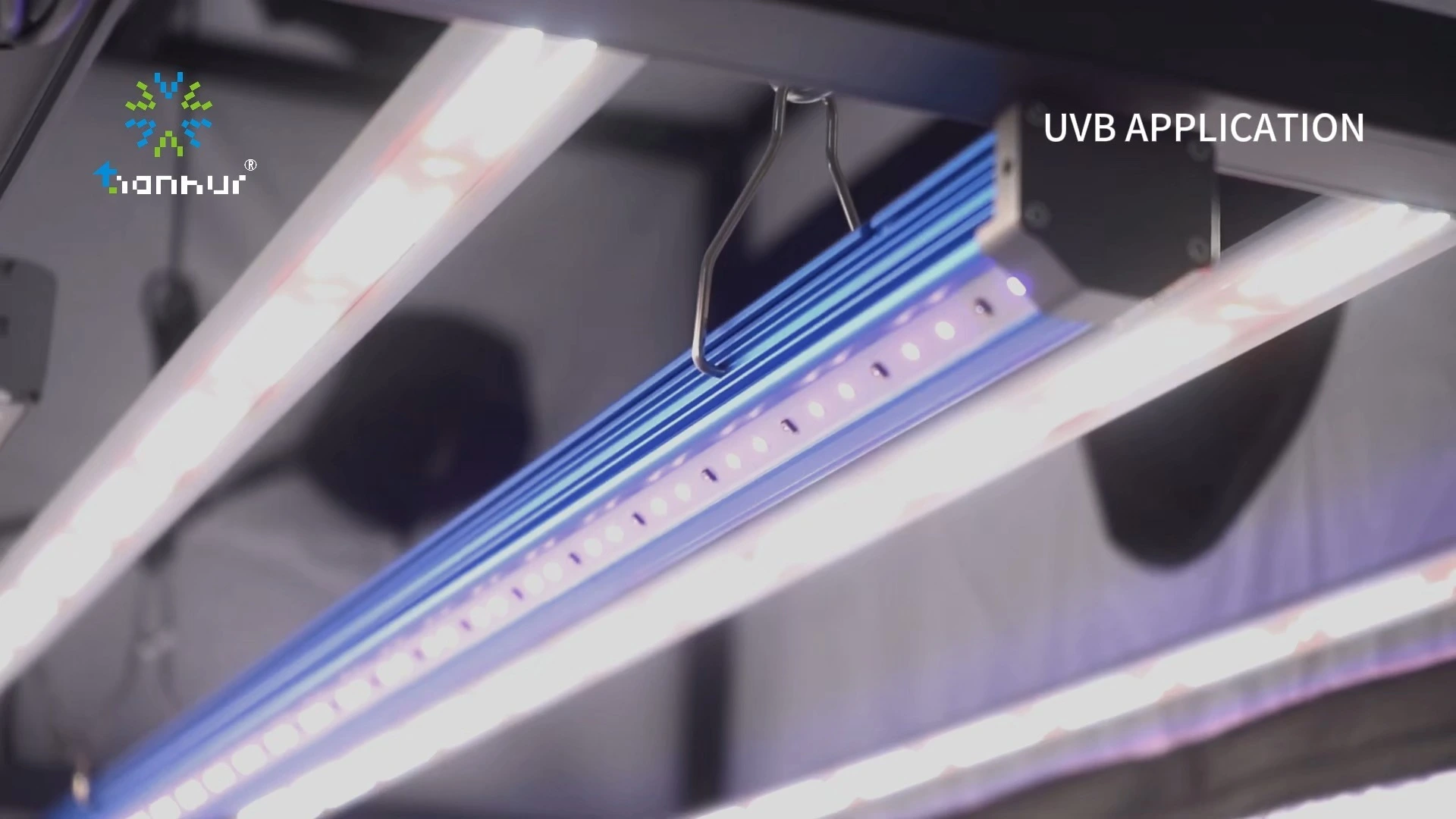UVB Module 311nm - Boosting Vitamin D Synthesis and Illuminating Terrariums. 1