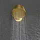 Custom Shower Concealed Mixer 5 Years Wateroperate 5