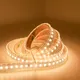 Outdoor Christmas Light Strips with Good Price for Commercial12-18W 5