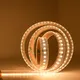 Outdoor Christmas Light Strips with Good Price for Commercial12-18W 6
