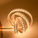 Outdoor Christmas Light Strips with Good Price for Commercial12-18W 7