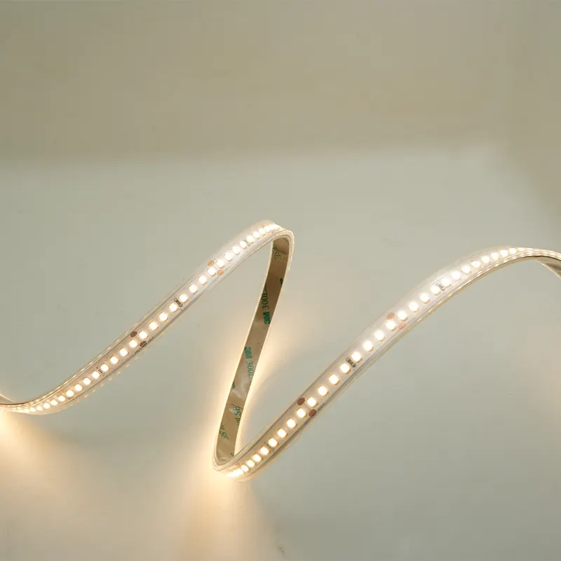 Outdoor Christmas Light Strips with Good Price for Commercial12-18W 9