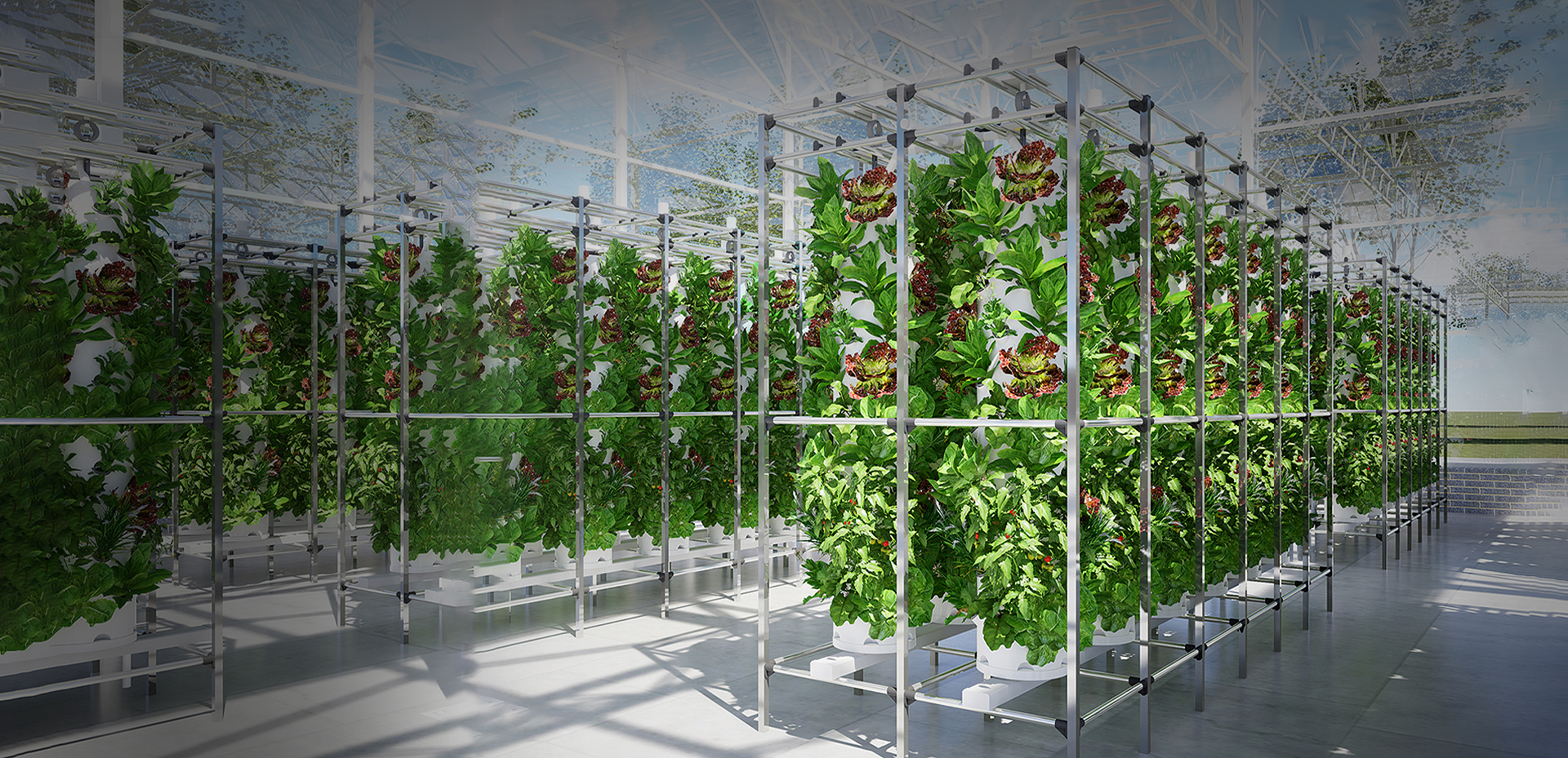 Focus on hydroponics solutions 30 years