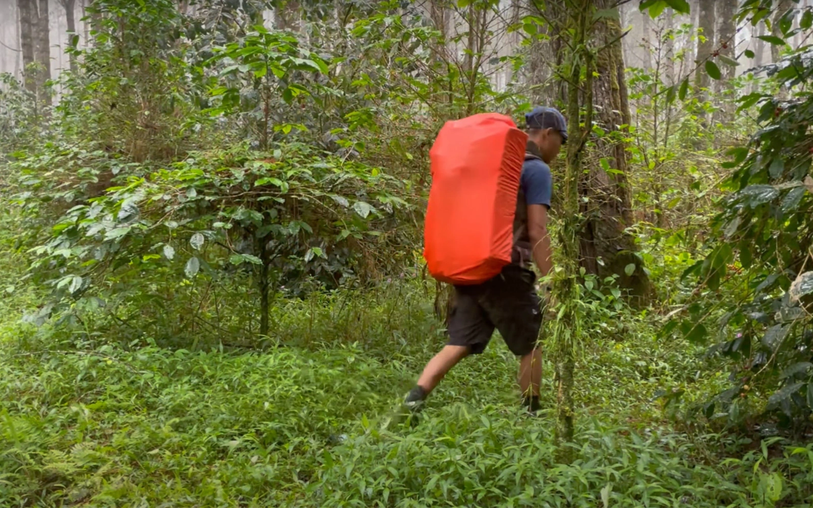 Essential Gear for Rainy Forest Campers - Camouflage Rain Suit 2