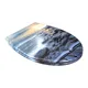 D Shaped Patterned Toilet Seat Wholesale - Fanmitrk 5