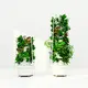 Vertical Hydroponic Tower System Qingdao/Shanghai by Lyine 5