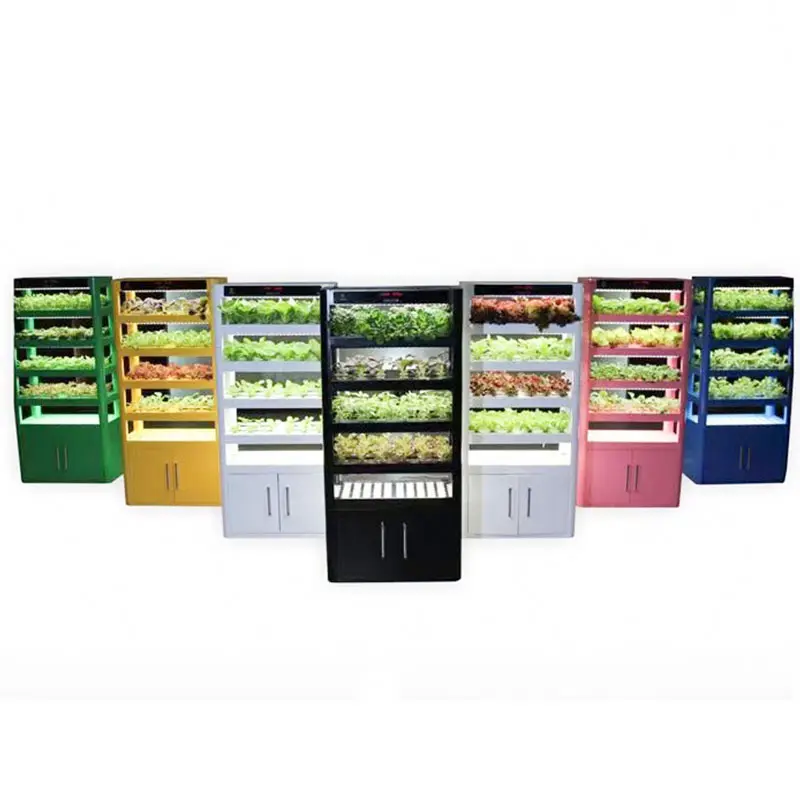 Новейшая умная гидропонная коробка для выращивания Компания Smart Hydroponic Grow Box 3