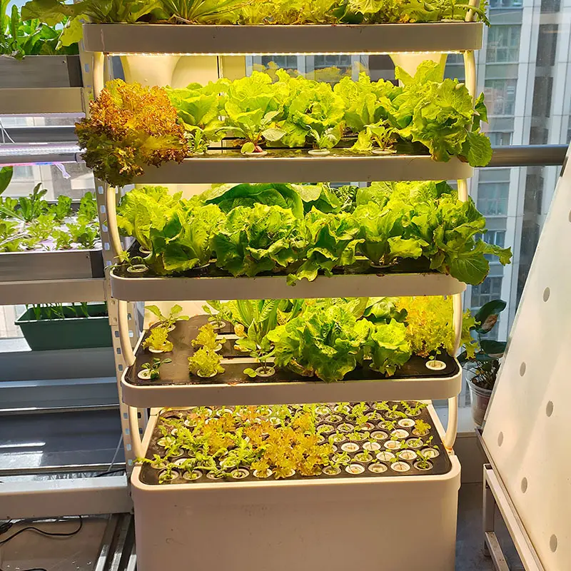 Новейшая умная гидропонная коробка для выращивания Компания Smart Hydroponic Grow Box 4