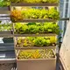 Новейшая умная гидропонная коробка для выращивания Компания Smart Hydroponic Grow Box 4