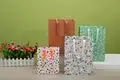 Lucky Color | Bulk Paper Bag Supplier Vendor 6