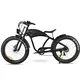 Electric Transportation for Adults by the Energetic 1