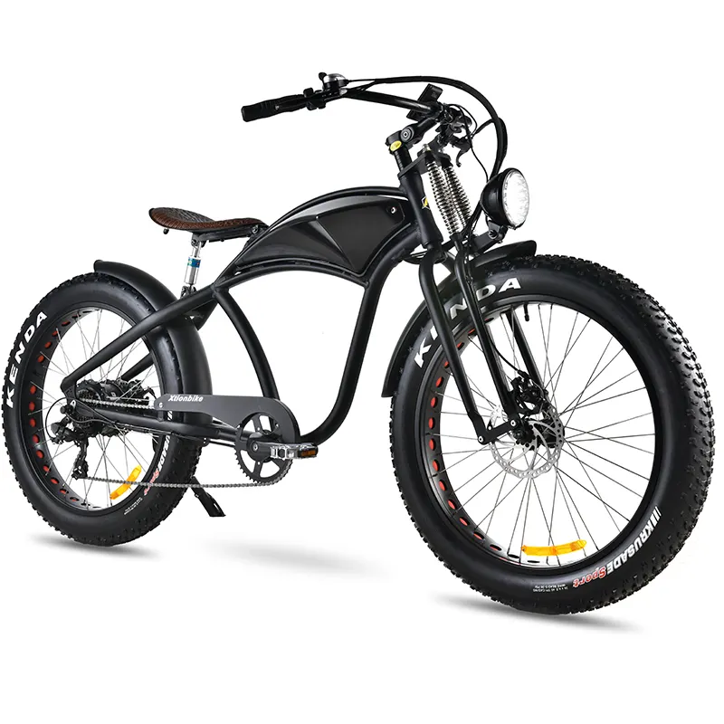Electric Transportation for Adults by the Energetic 2