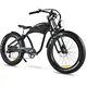 Electric Transportation for Adults by the Energetic 2