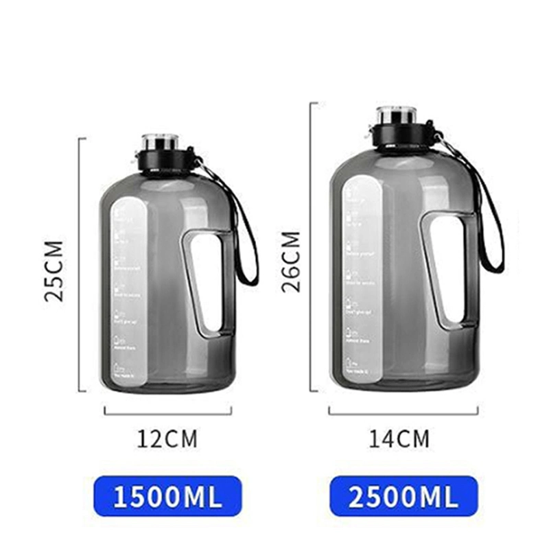 Botella mezcladora de acero inoxidable con ventana transparente y bola mezcladora 1
