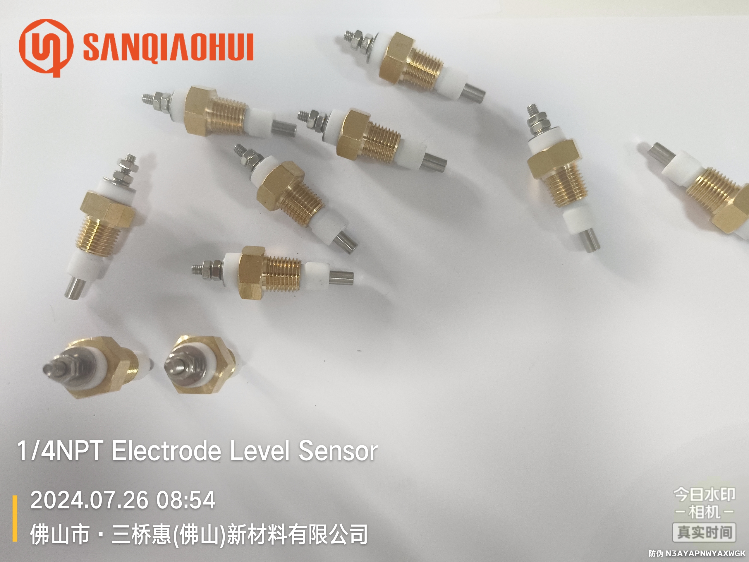 Sanqiaohui  1/4NPT Brass thread water level electrode probe sensor for liquid level sensor 6
