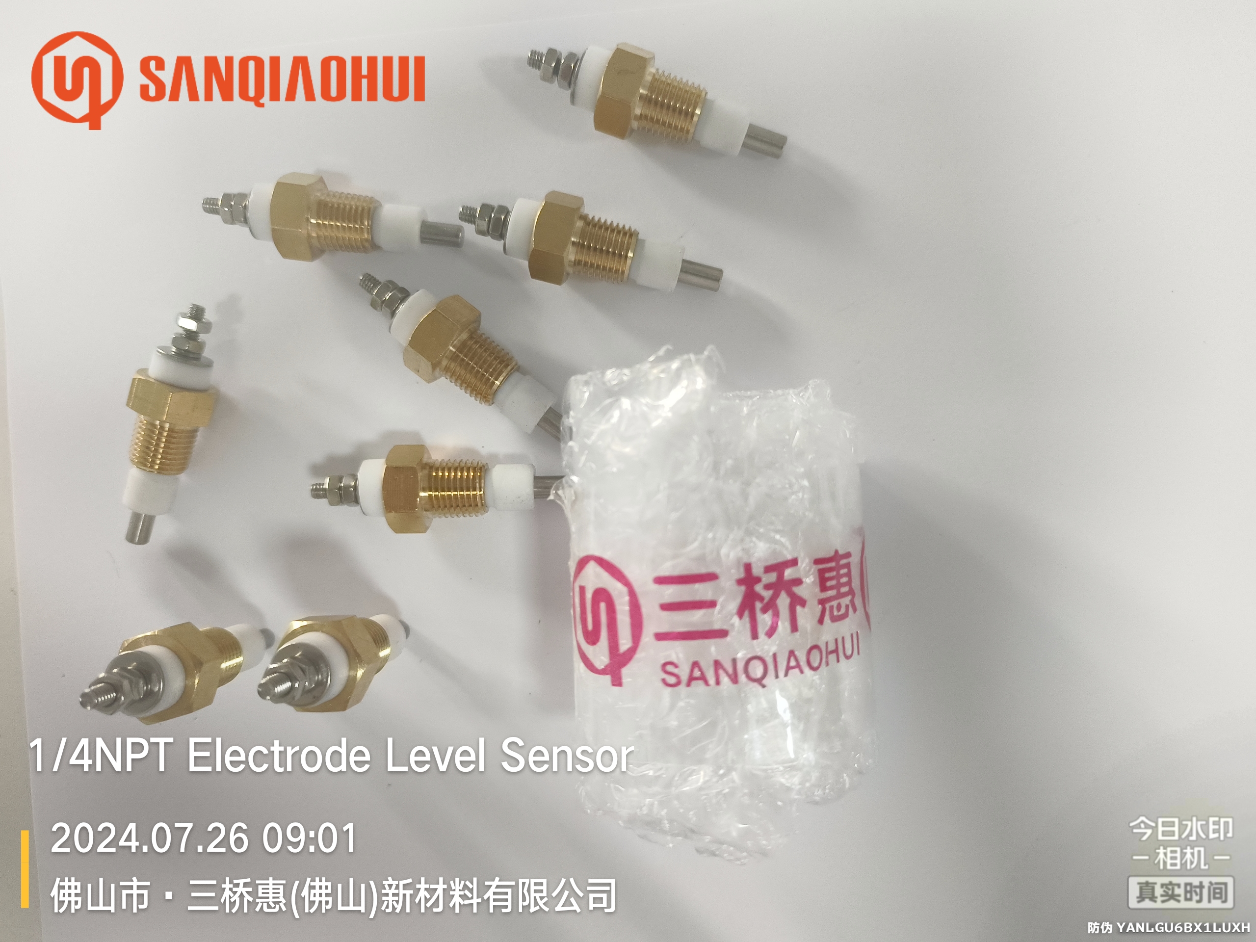 Sanqiaohui  1/4NPT Brass thread water level electrode probe sensor for liquid level sensor 3