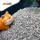 Bentonite Litter for Cats for Cat XB-B10factory Price 3
