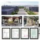 Reliable Cat Litter Factory Price List 7