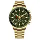 Neueste Chronograph Watch Price for Luxury Watch Sammeln 5