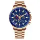 Neueste Chronograph Watch Price for Luxury Watch Sammeln 6