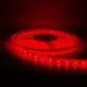 Rgbic Lights 10mm Ra>90factory Price 4