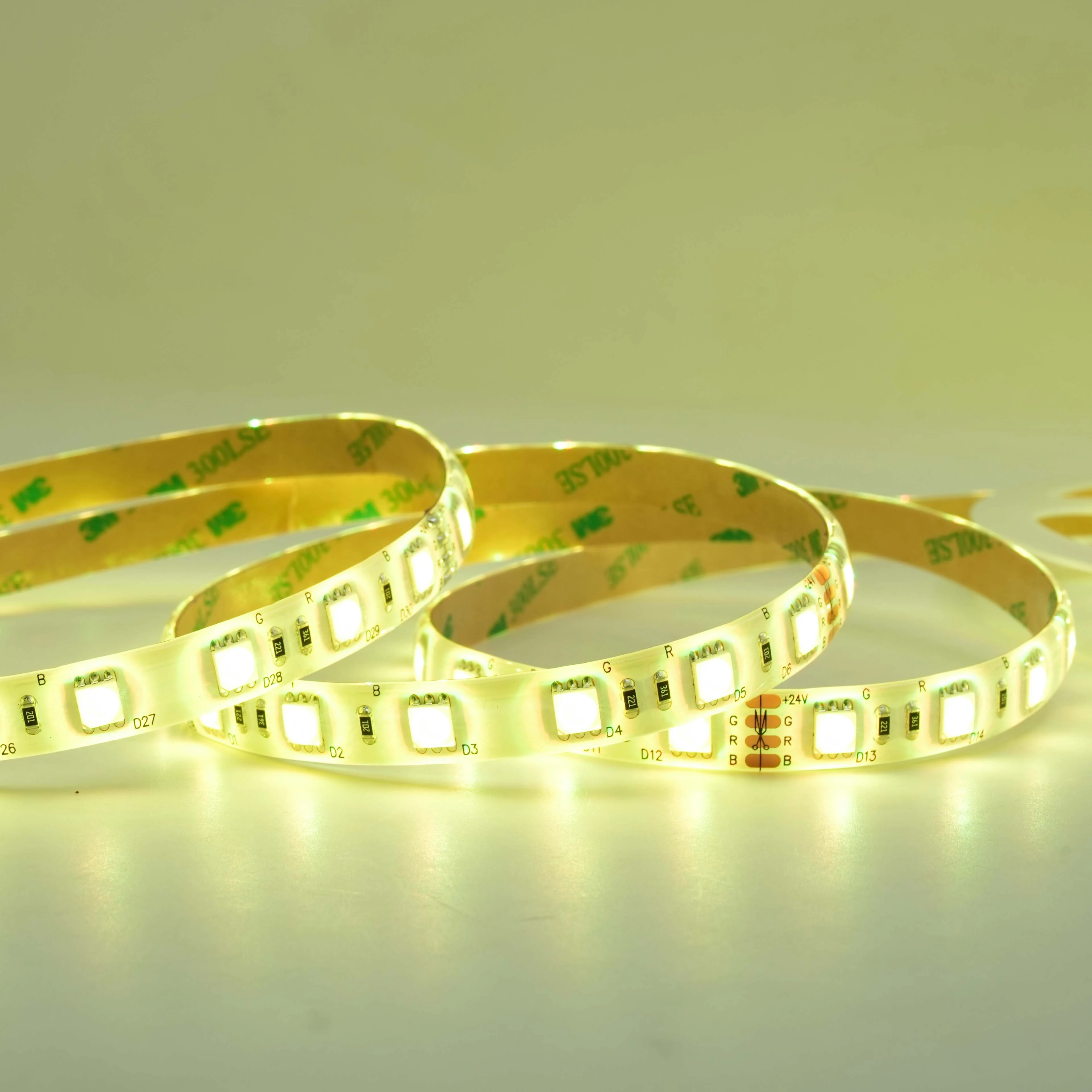 Bande Flexible 24V RVB 5050 LED 60LEDS/M WS2815 étanche pour l'extérieur 1
